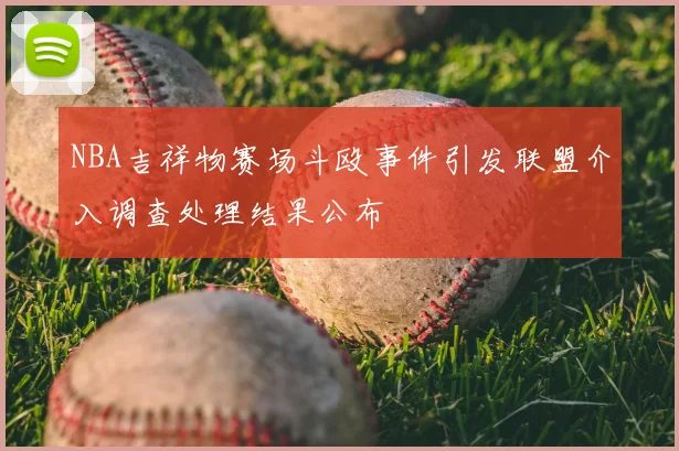 NBA吉祥物赛场斗殴事件引发联盟介入调查处理结果公布
