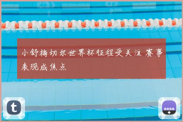 小舒梅切尔世界杯征程受关注 赛事表现成焦点