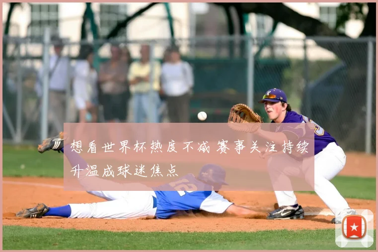 想看世界杯热度不减 赛事关注持续升温成球迷焦点