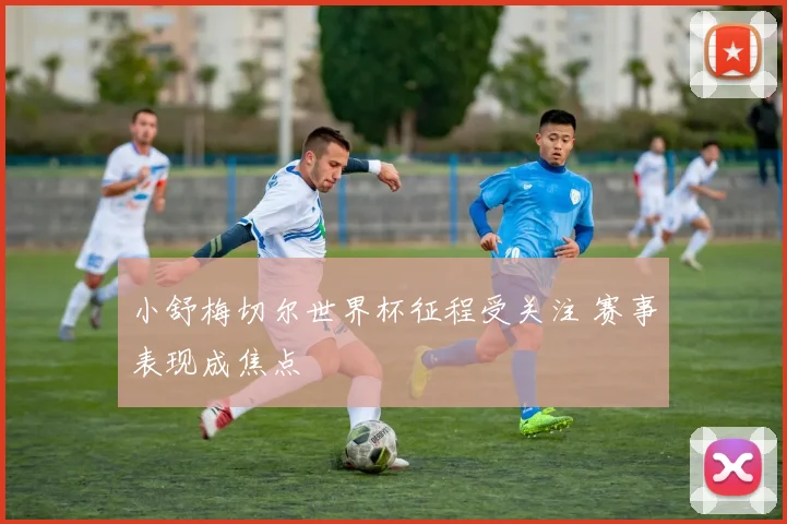 小舒梅切尔世界杯征程受关注 赛事表现成焦点