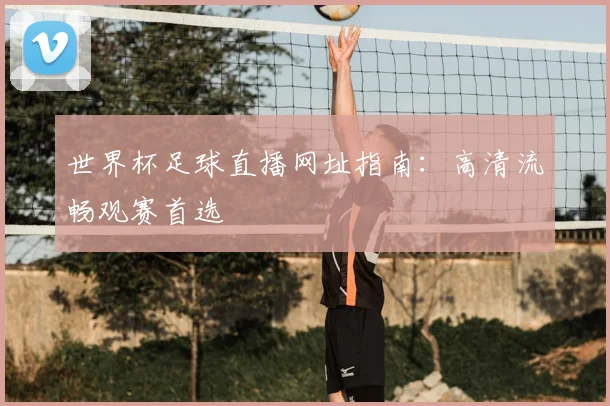 世界杯足球直播网址指南:高清流畅观赛首选