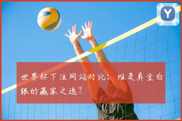 世界杯下注网站对比:谁是真金白银的赢家之选?
