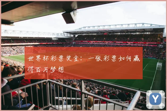 世界杯彩票奖金：一张彩票如何赢得百万梦想