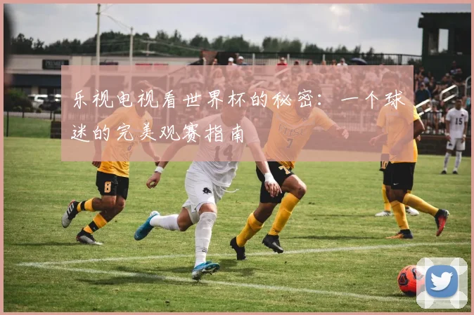 乐视电视看世界杯的秘密:一个球迷的完美观赛指南