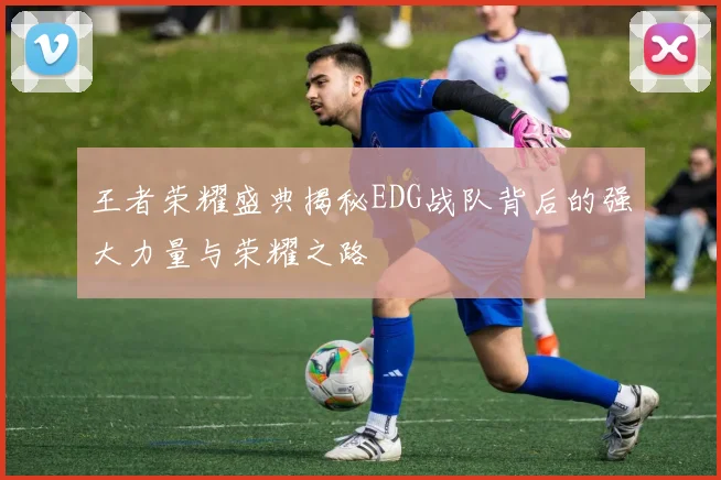 王者荣耀盛典揭秘EDG战队背后的强大力量与荣耀之路