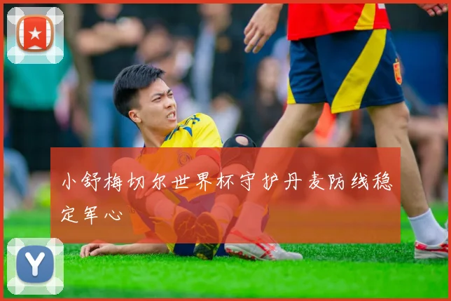小舒梅切尔世界杯守护丹麦防线稳定军心