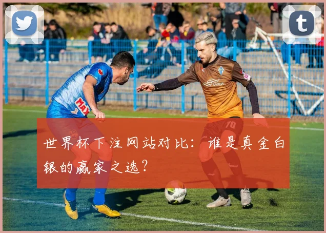 世界杯下注网站对比:谁是真金白银的赢家之选?