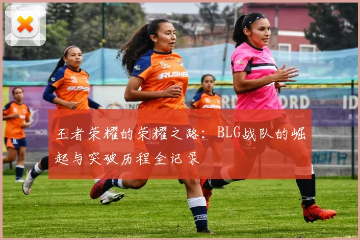 王者荣耀的荣耀之路:BLG战队的崛起与突破历程全记录