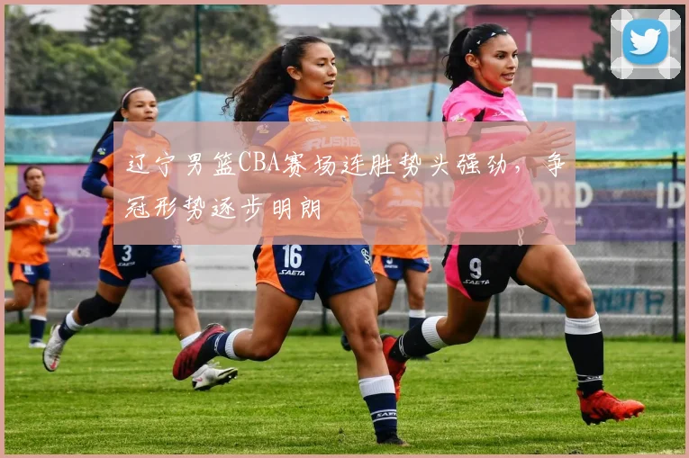 辽宁男篮CBA赛场连胜势头强劲,争冠形势逐步明朗
