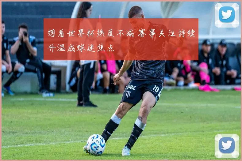 想看世界杯热度不减 赛事关注持续升温成球迷焦点