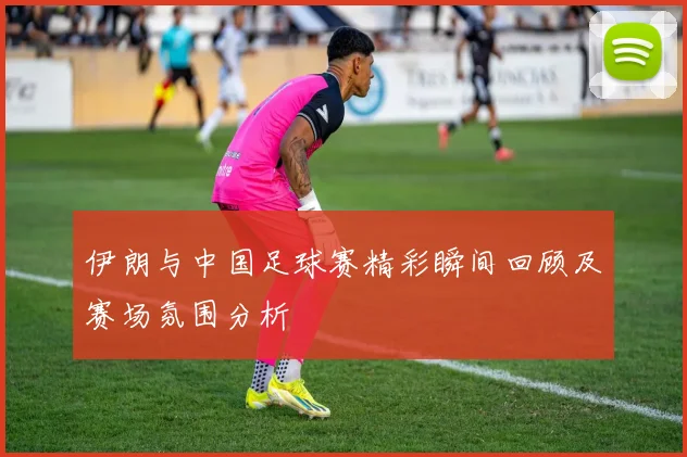 伊朗与中国足球赛精彩瞬间回顾及赛场氛围分析