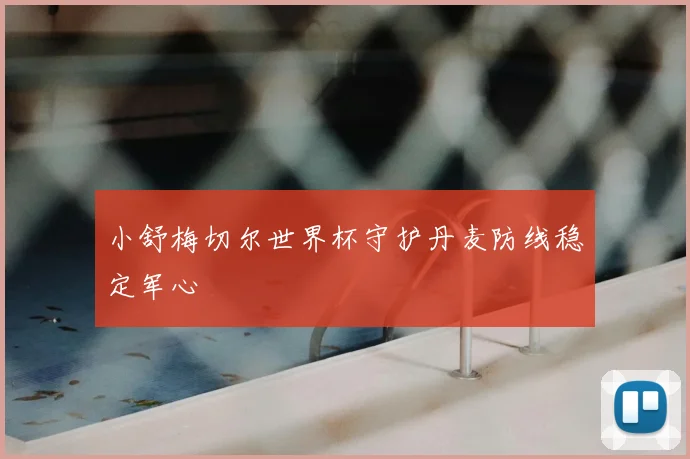 小舒梅切尔世界杯守护丹麦防线稳定军心