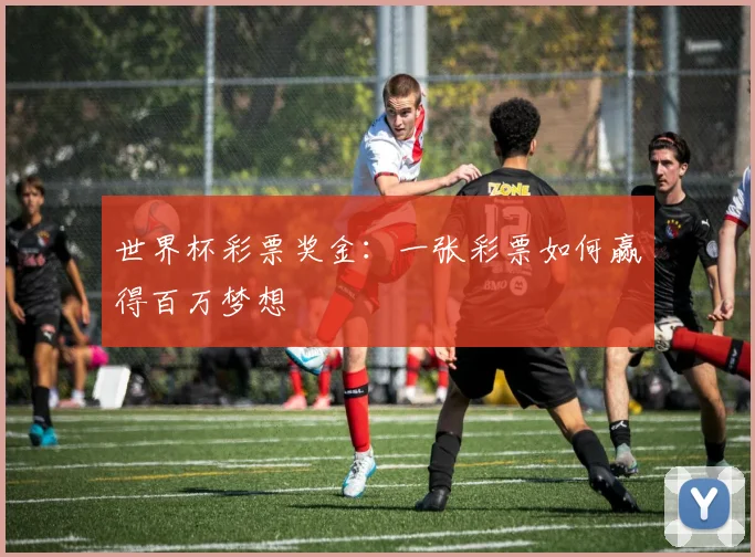 世界杯彩票奖金:一张彩票如何赢得百万梦想
