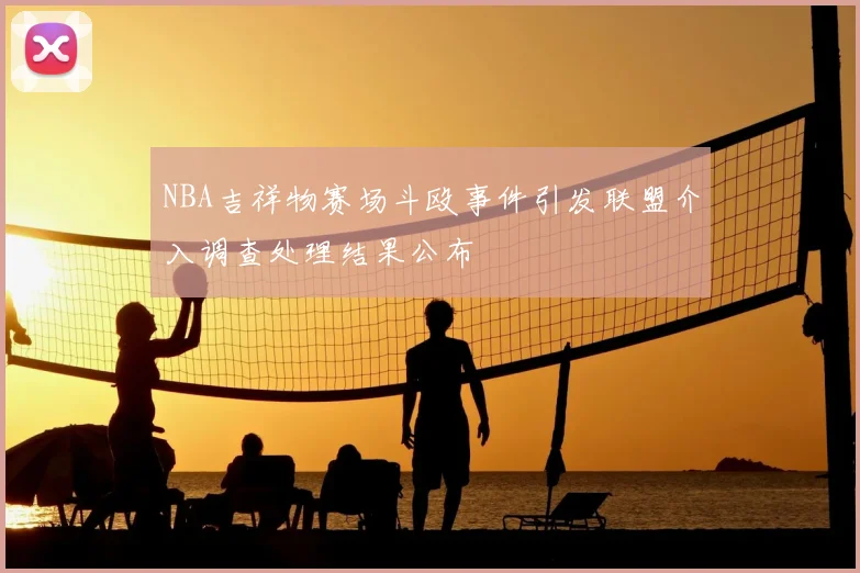 NBA吉祥物赛场斗殴事件引发联盟介入调查处理结果公布