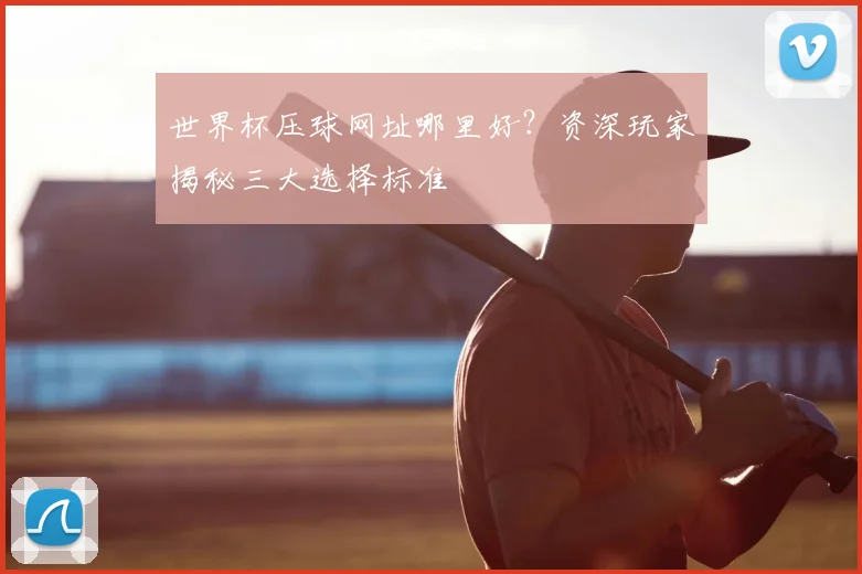 世界杯压球网址哪里好?资深玩家揭秘三大选择标准