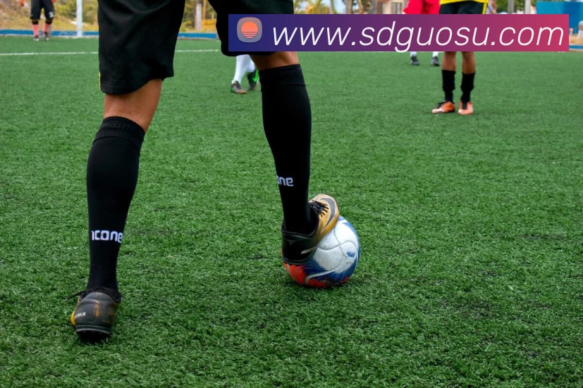 爱游戏官网APP 封面图